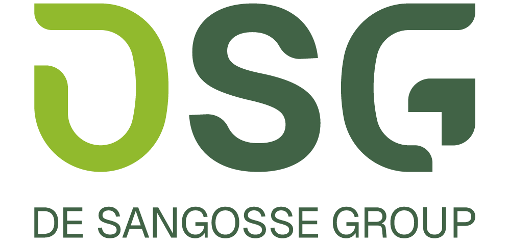 LOGO-DSG LOGO-DSG