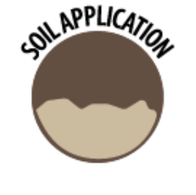 sol