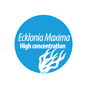 ecklonia-maxima