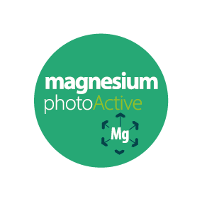 magnesium-photoactive