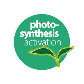 photosynthesis